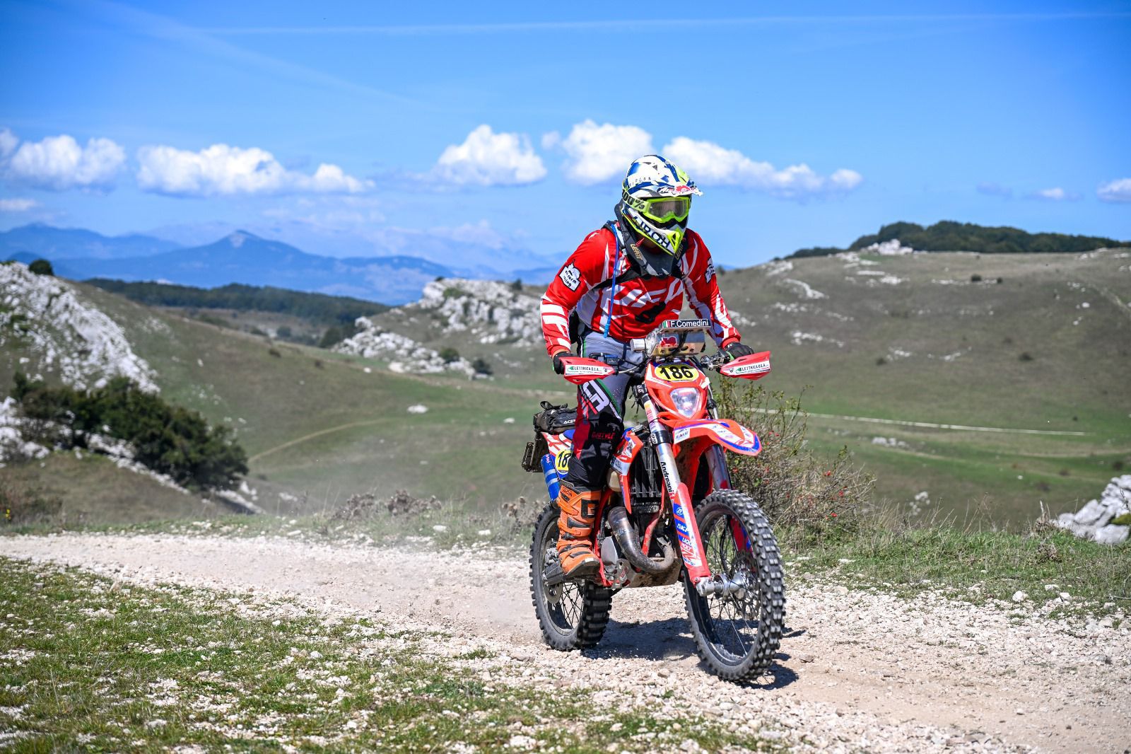 FrancescoComedini2.jpg (306 KB)