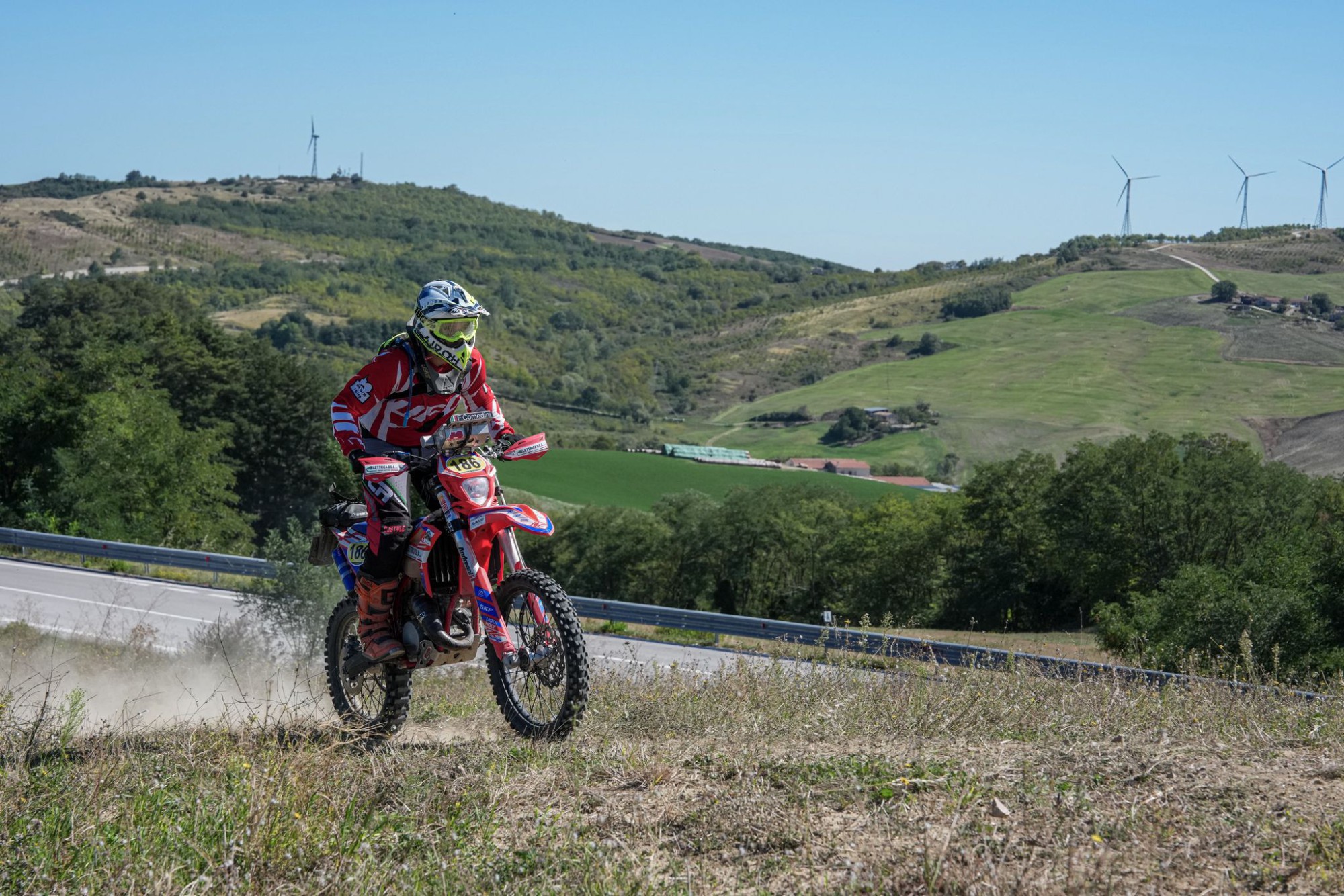 FrancescoComedini4.jpg (617 KB)