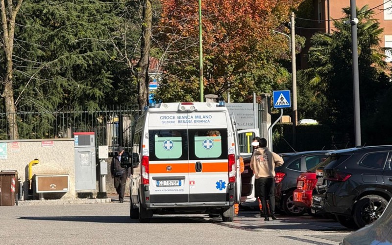 MerateAggressTurOK.jpg (153 KB)