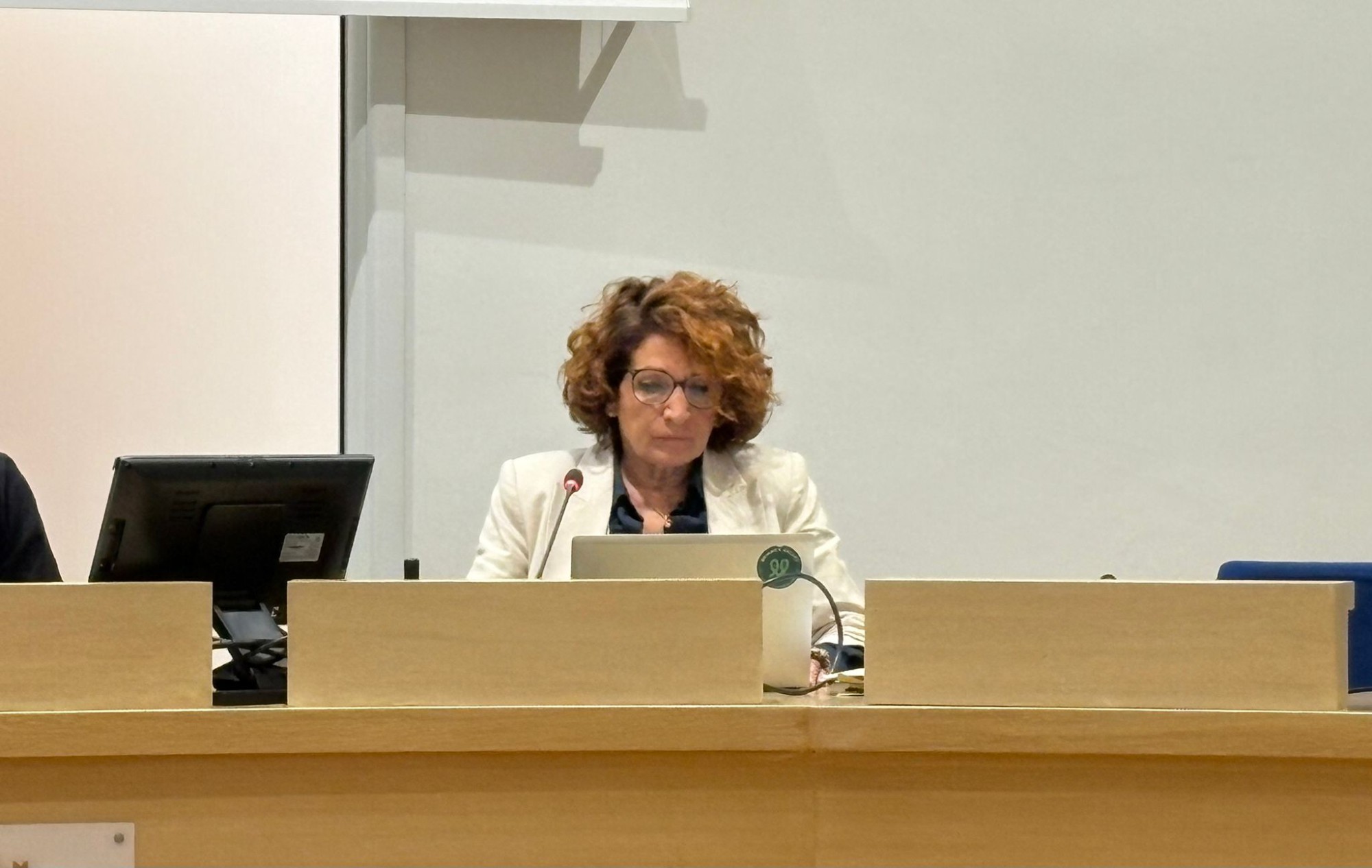 MerateCommissioneIstruzione3.jpg (245 KB)