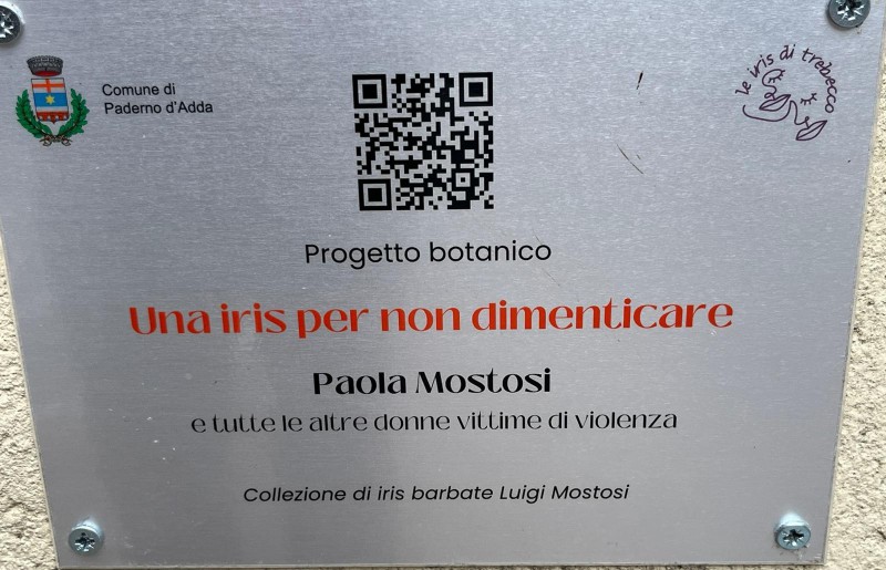Paderno_iris_non_dimenticare2.jpeg (107 KB)