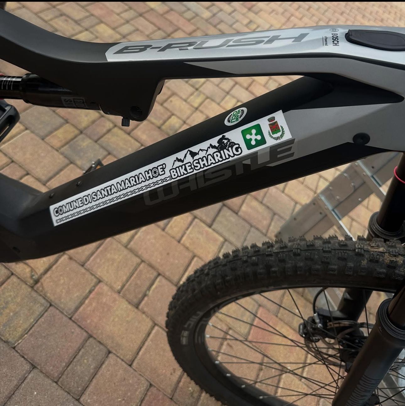 SMH_Bikesharing3.jpeg (208 KB)