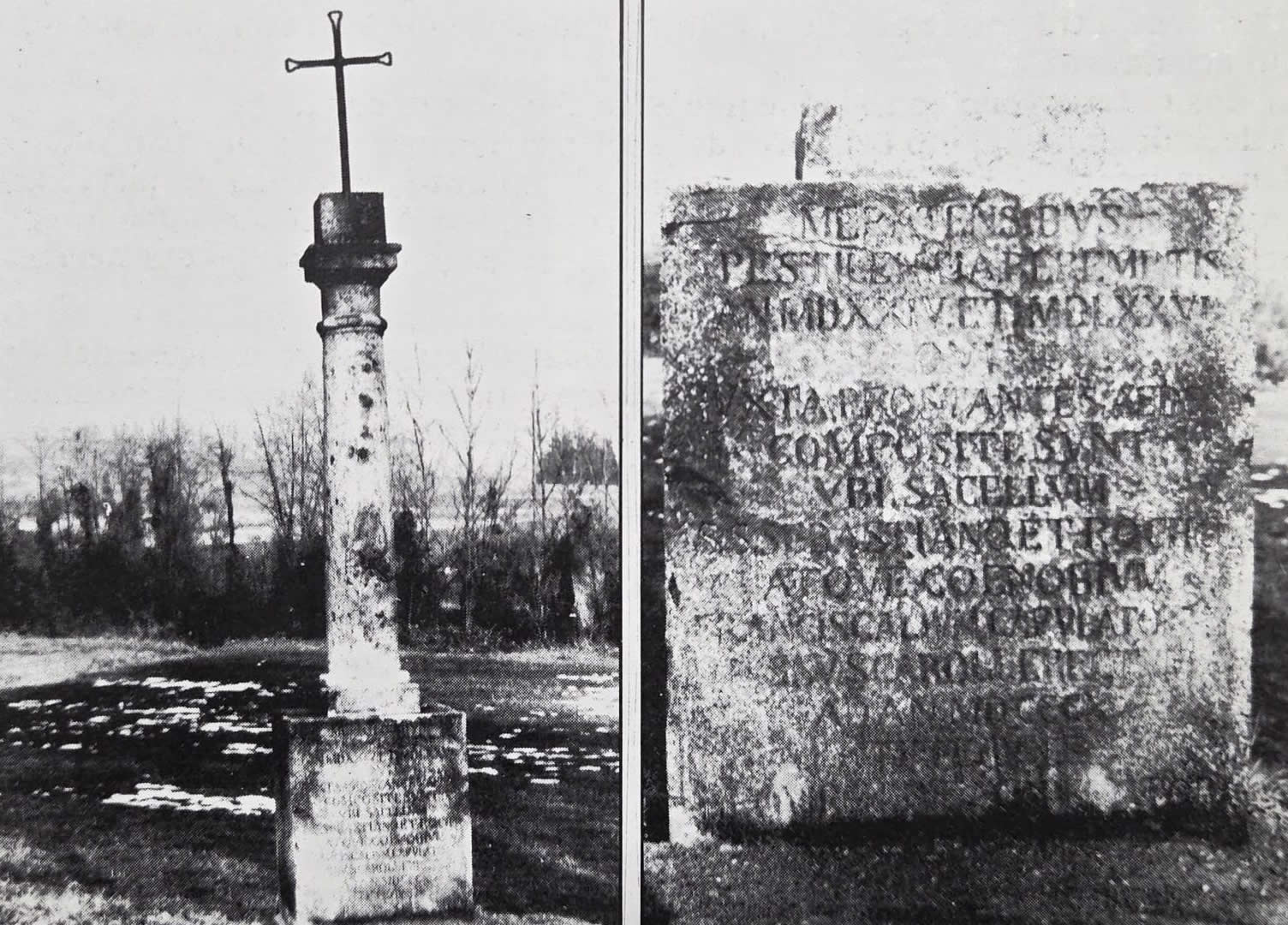 SartiranaCippoPeste1.jpg (251 KB)
