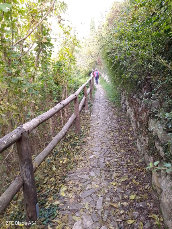 parcolettera__2_.jpeg (214 KB)