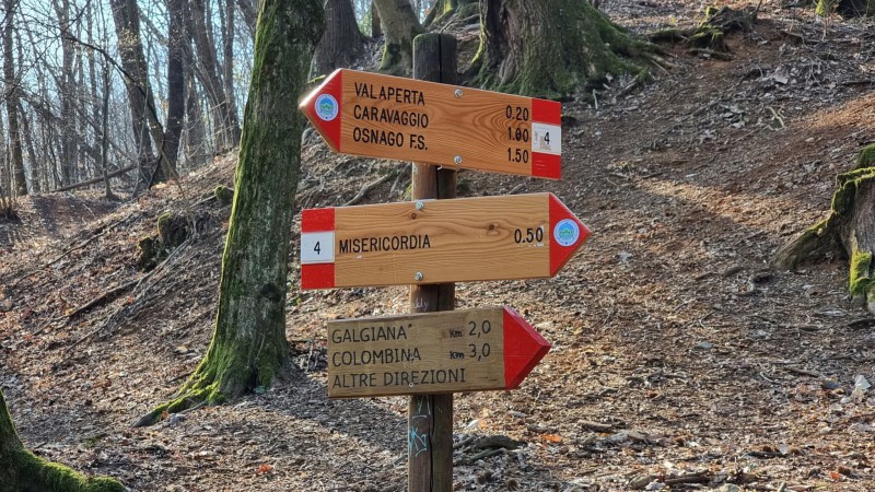 parcolettera__4_.jpeg (172 KB)