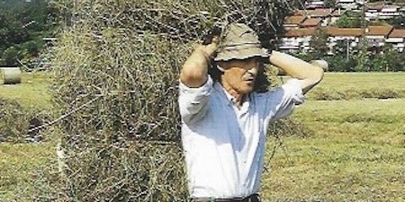 1_Il_contadino_PRIMA.jpg (78 KB)
