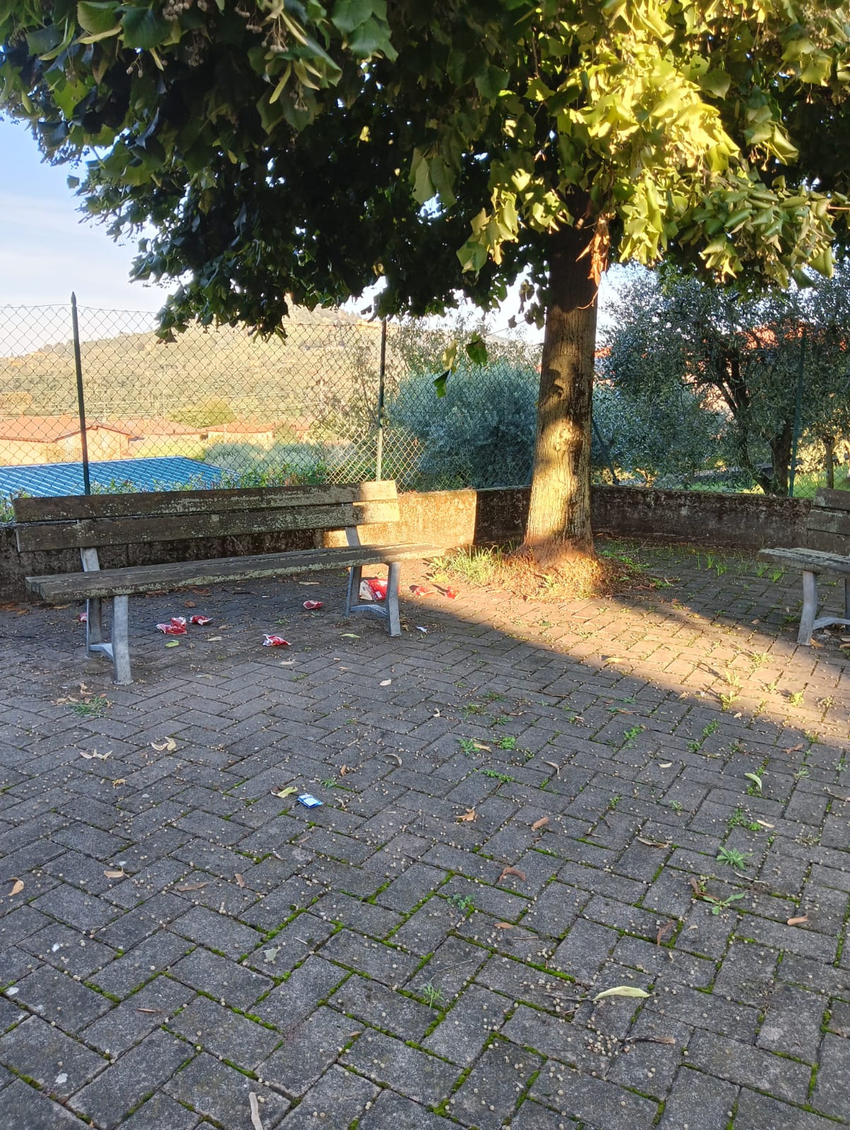 CimiteroPagnanoIncivili2.jpg (462 KB)