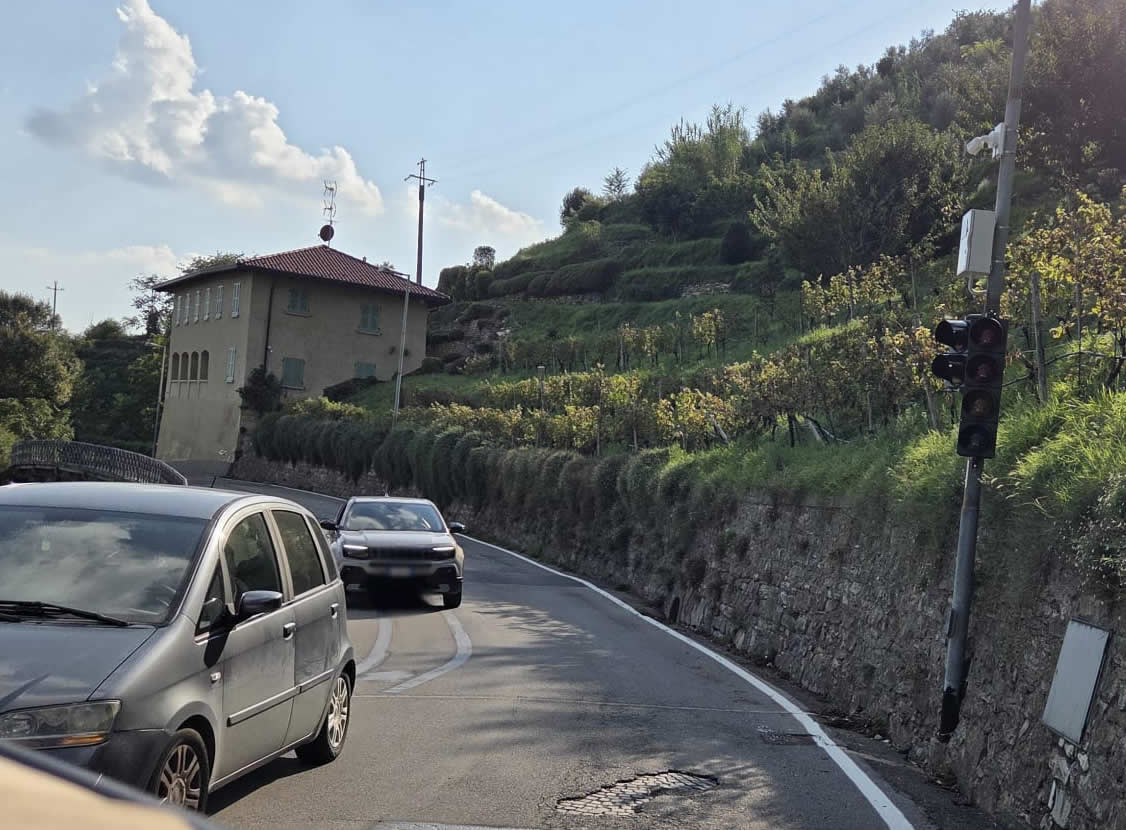 MtvRiaperturaStrada2.jpg (119 KB)