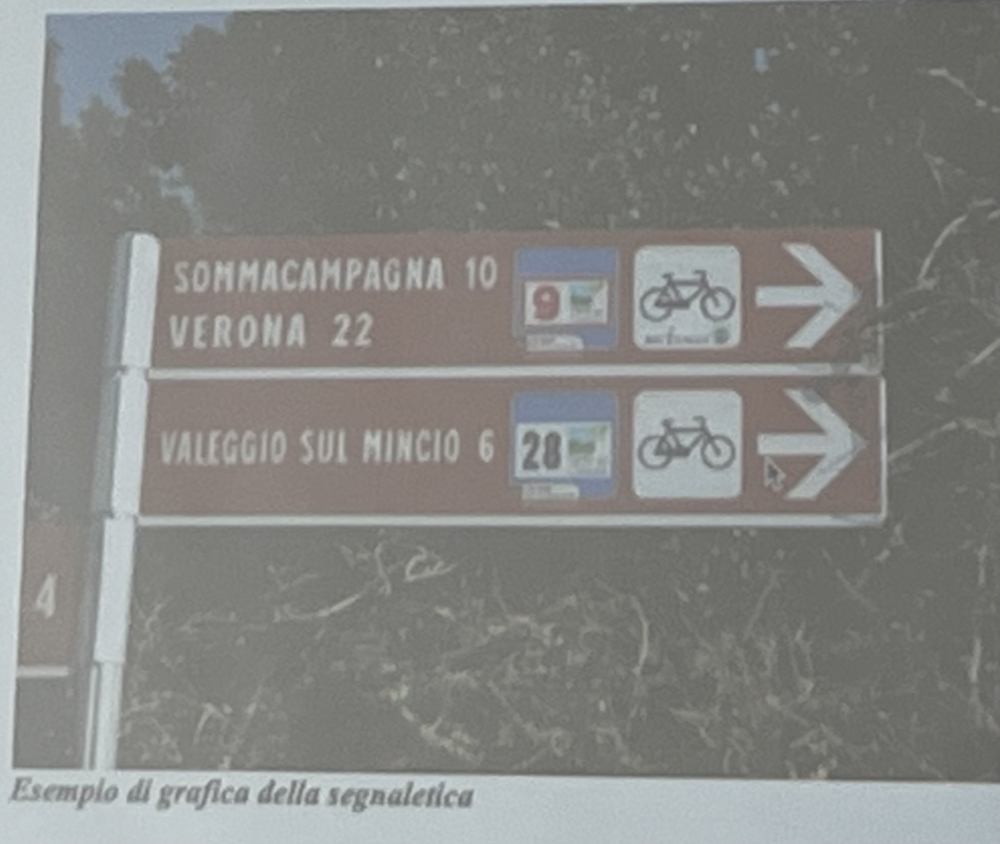 Mtv_Bici_in_Comune6.jpeg (290 KB)