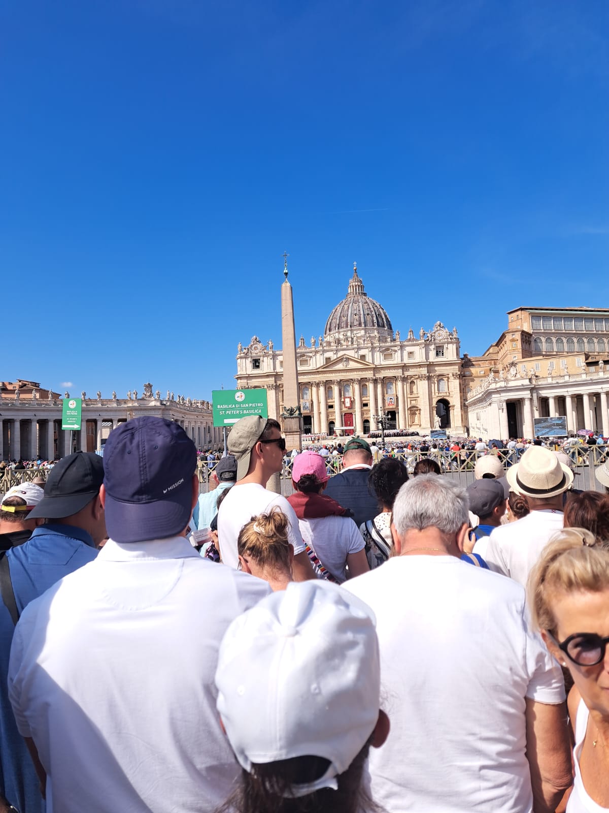 NovatePellegrinaggioAcutis__1_.jpeg (175 KB)