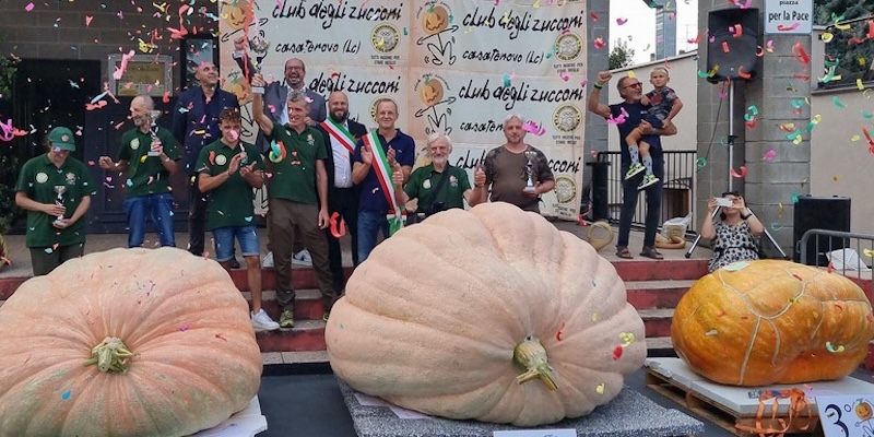 garazucconiPRIMA.jpg (168 KB)