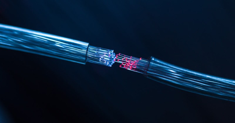 20260815_fibra_imaging.jpg (35 KB)