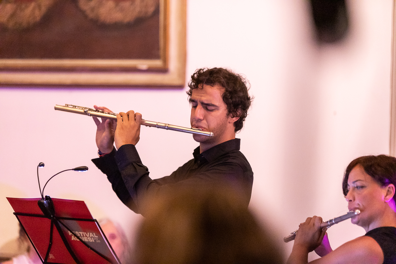 26_agosto_Festival_Agnesi_Ensemble_Sinestesie_-_credits_Riccardo_Caldirola_4.JPG (815 KB)
