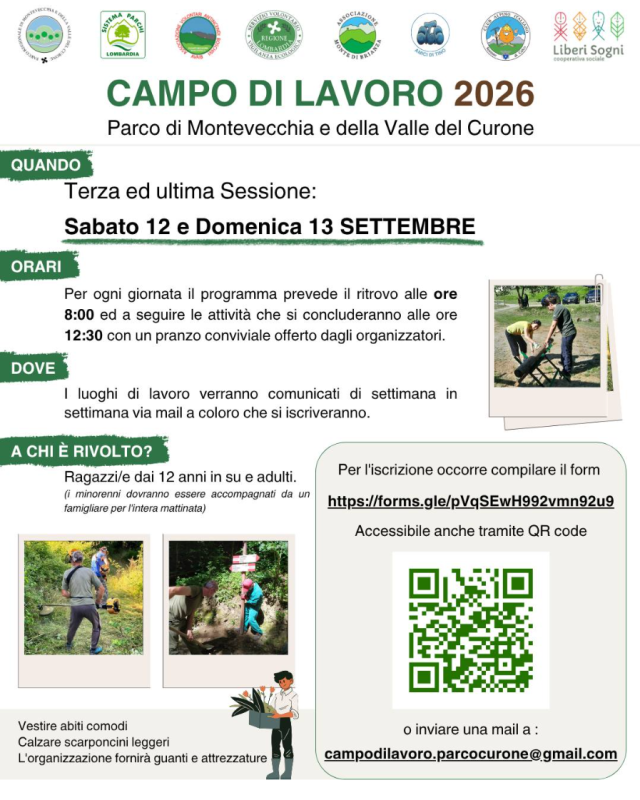 CampoLavoroEstivoCurone.png (465 KB)