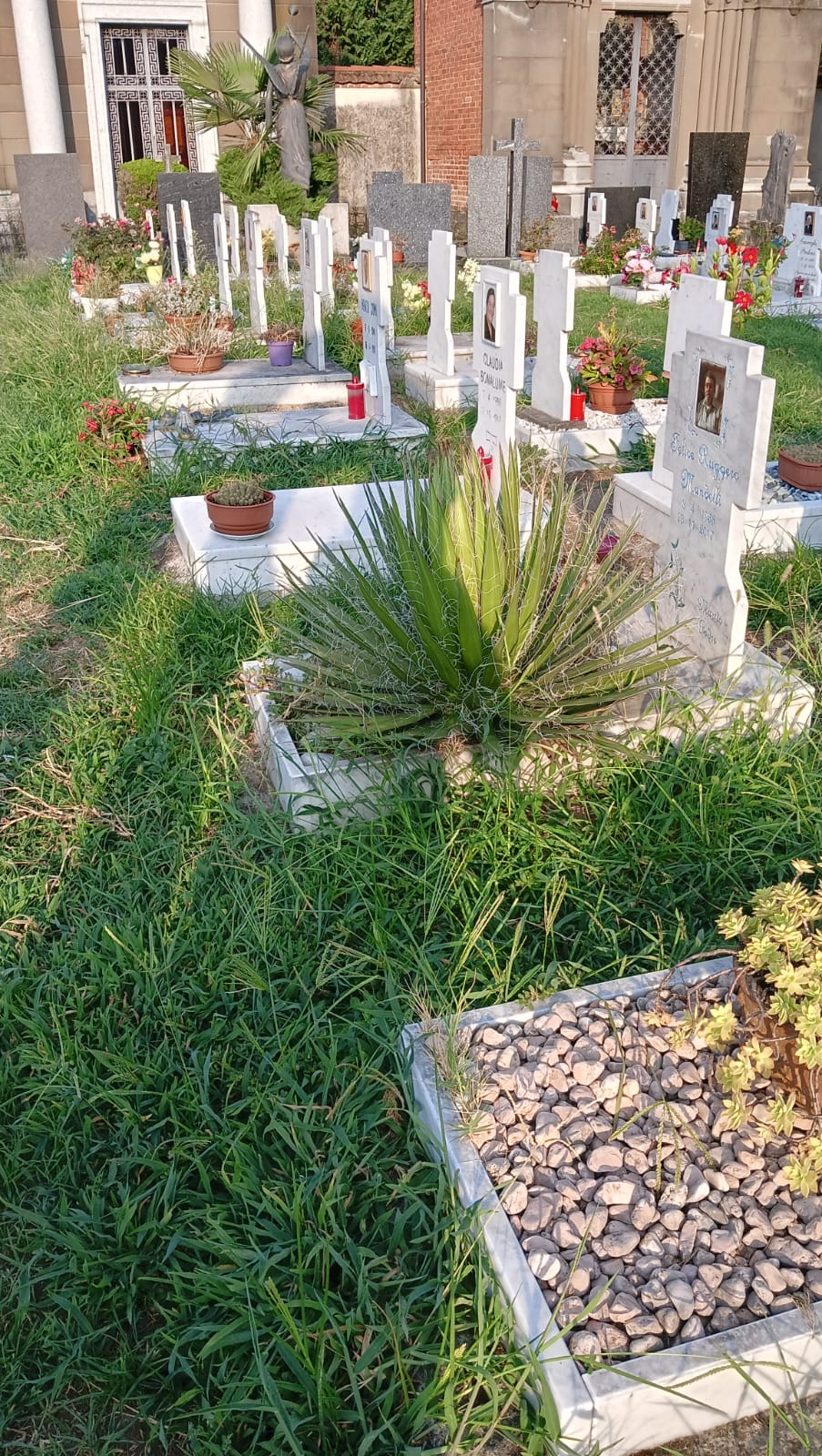 CimiteroPagnano1_.jpg (402 KB)