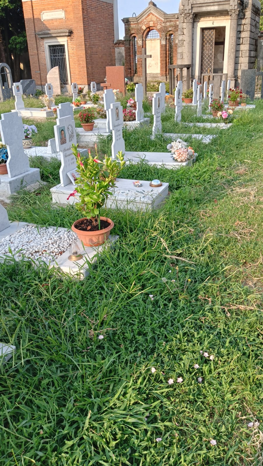 CimiteroPagnano2.jpg (395 KB)