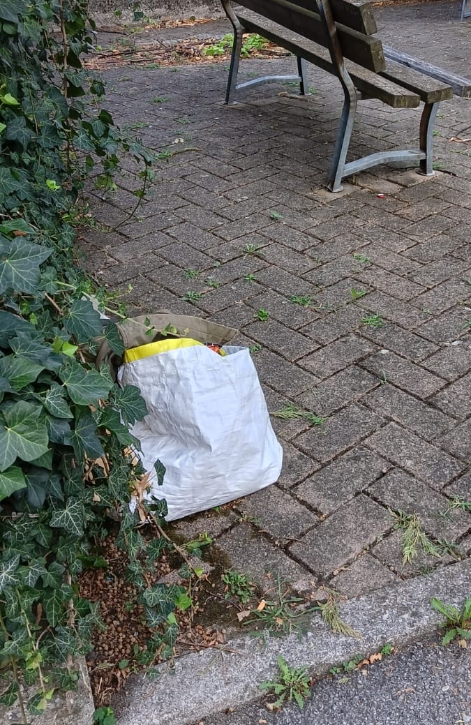 CimiteroPagnanoRifiuti1.jpg (393 KB)