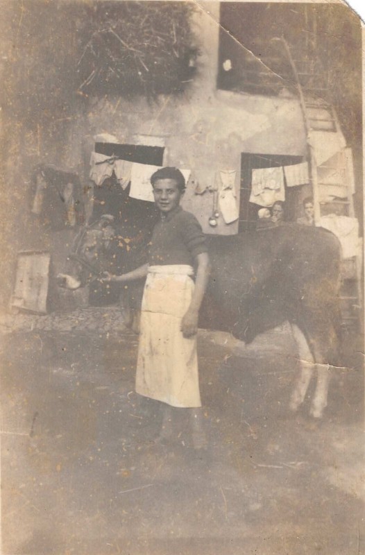 Macelleria_Casiraghi_Osnago_intervista__4_.jpeg (79 KB)