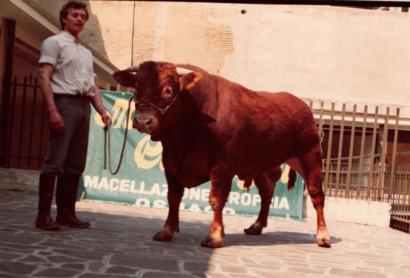 Macelleria_Casiraghi_Osnago_intervista__6_.jpeg (98 KB)