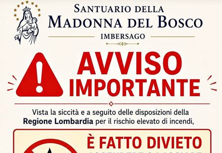 MadonnadelBoscoLuminiPRIMA.jpg (66 KB)