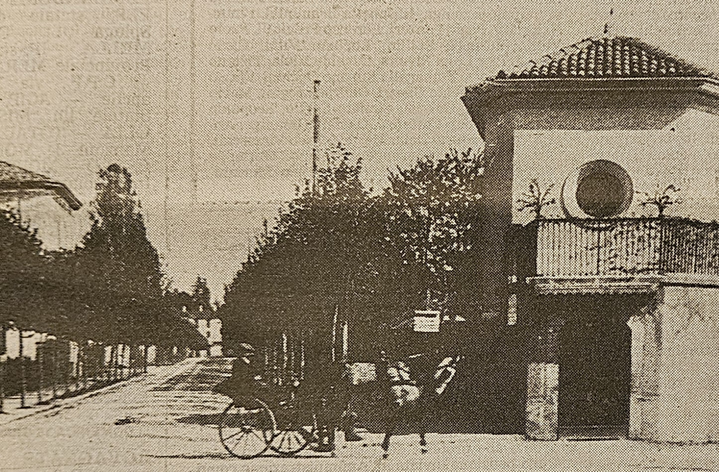 MerateAccadevaUltimoAgosto15.jpg (793 KB)