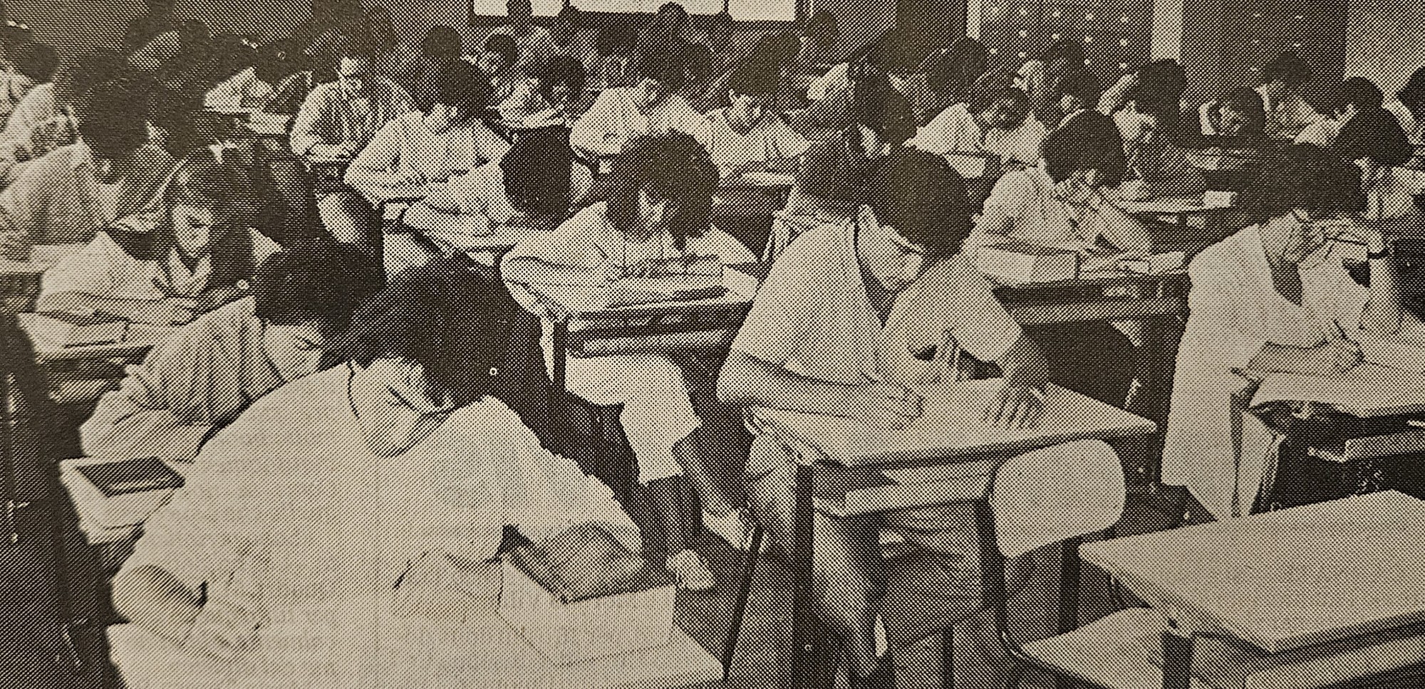 MerateAccadevaUltimoAgosto19.jpg (959 KB)