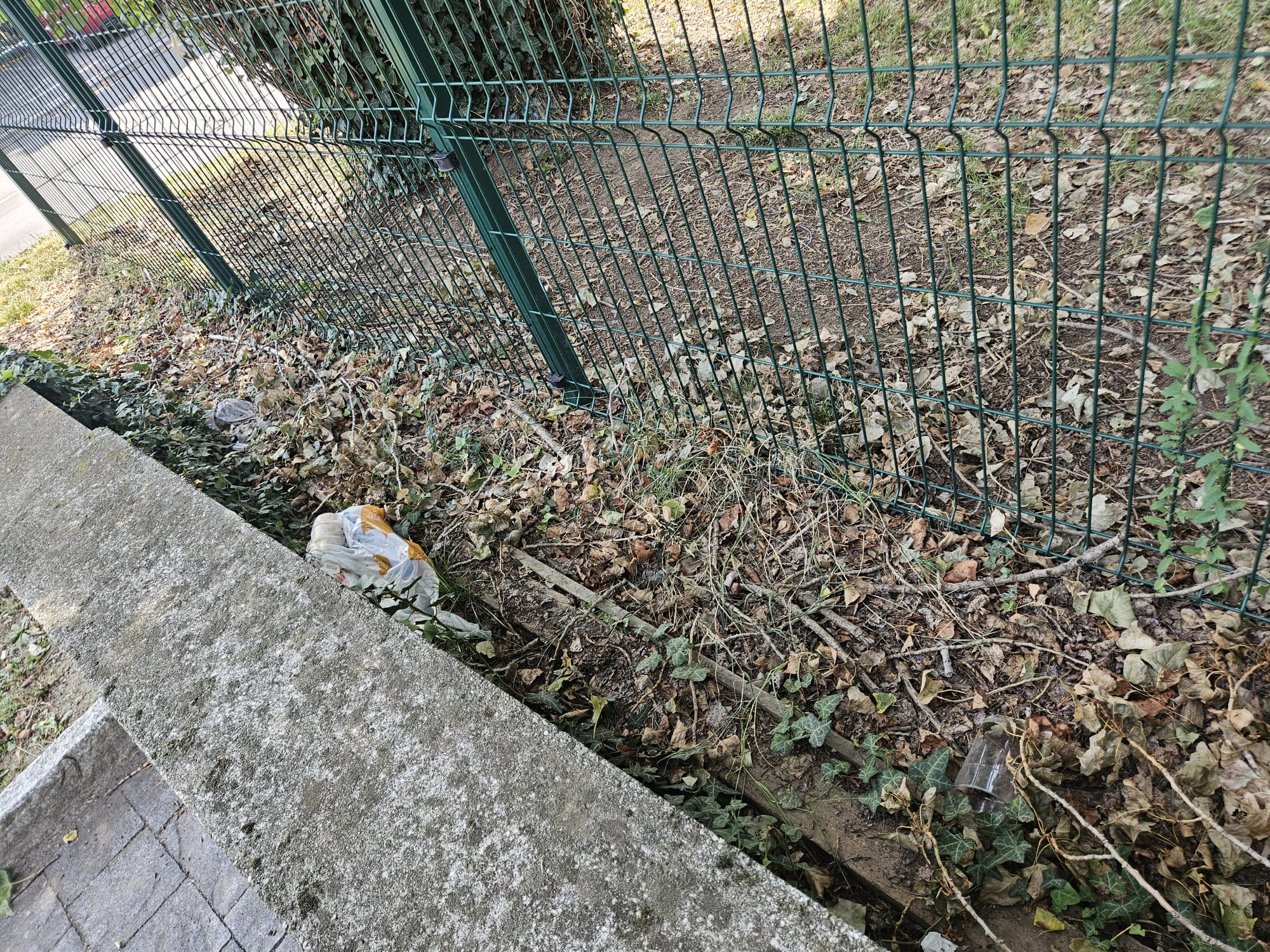 MerateSporciziaViaTurati__1_.jpeg (1.00 MB)