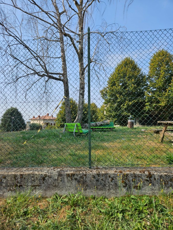 Pagnano_tronco_caduto.jpg (235 KB)