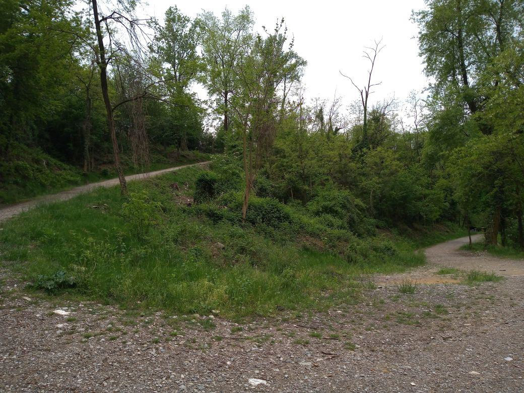 ParcoCuroneBandoGal2.jpg (352 KB)