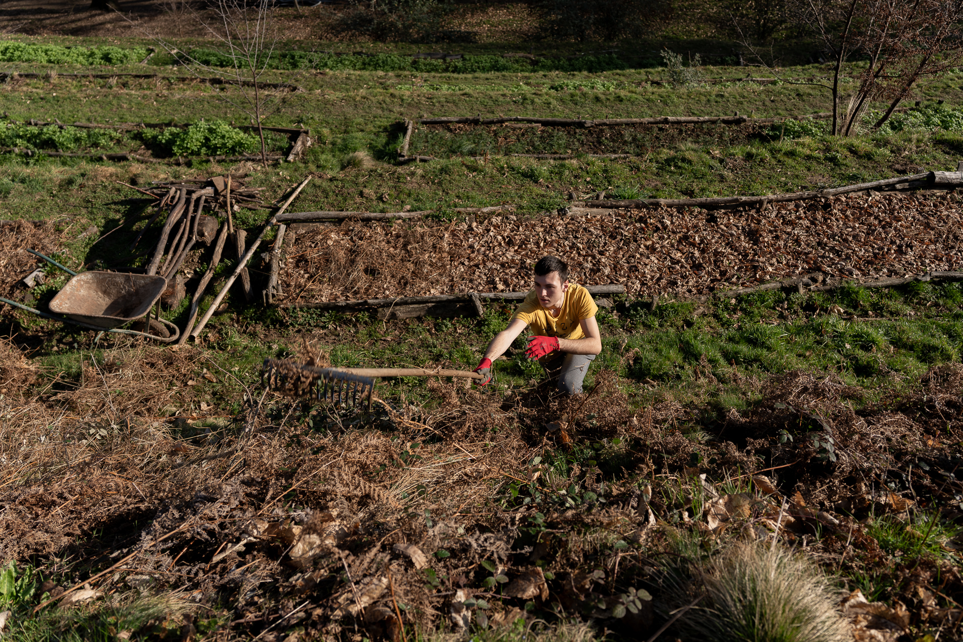 agricoltura_cascina_rapello__1_.jpg (3.22 MB)