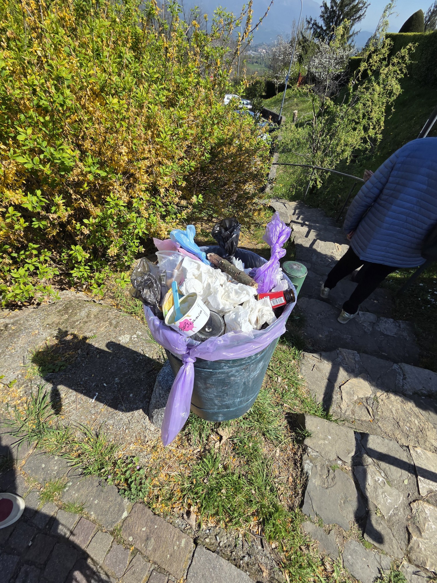 8MtvCestiniTombino.JPG (1.22 MB)