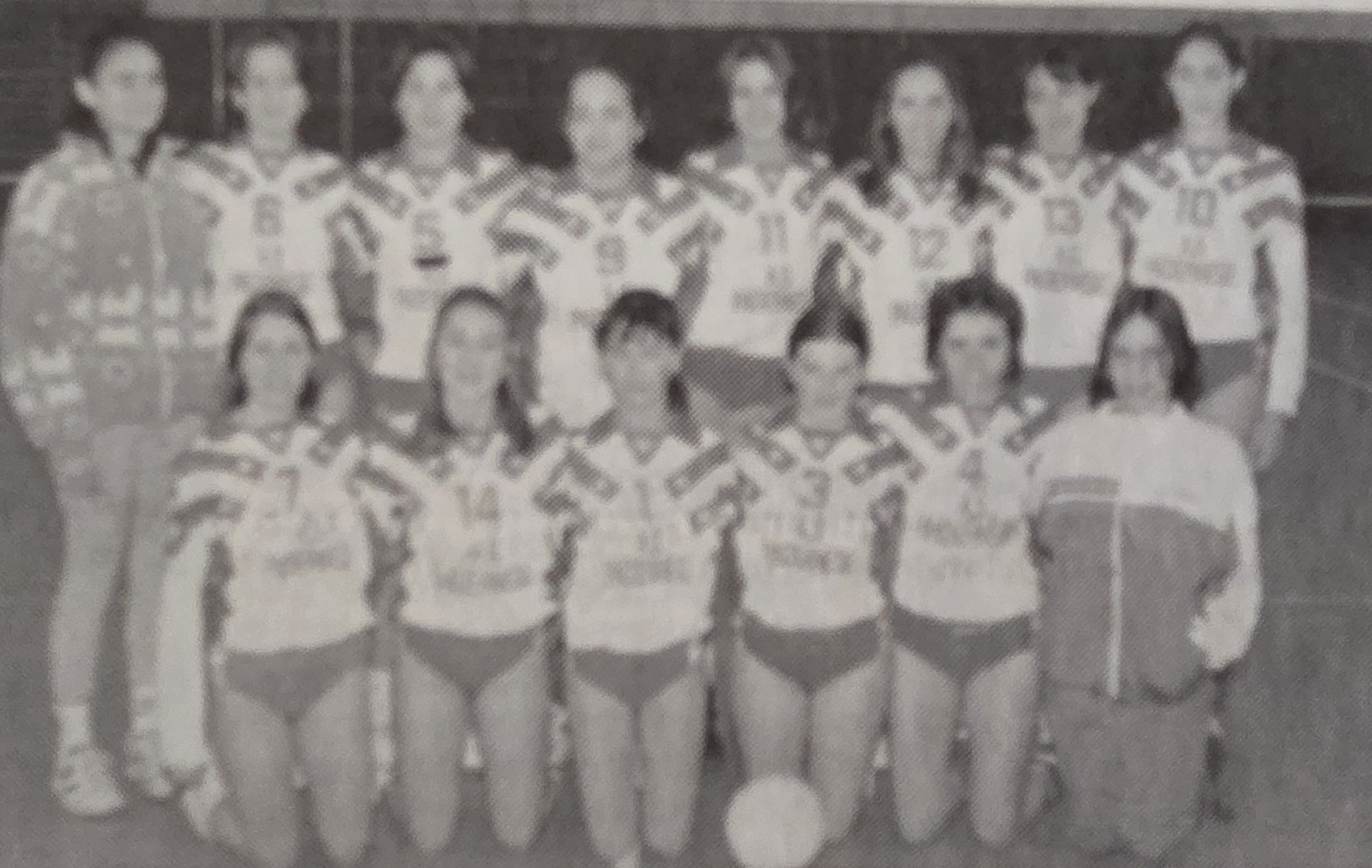 AccadevaFebbraioSeconda22.jpg (412 KB)