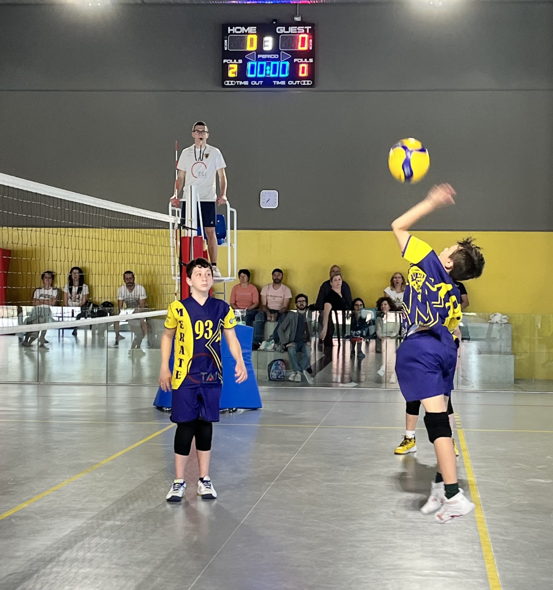 AsMerateLamperti.jpg (608 KB)