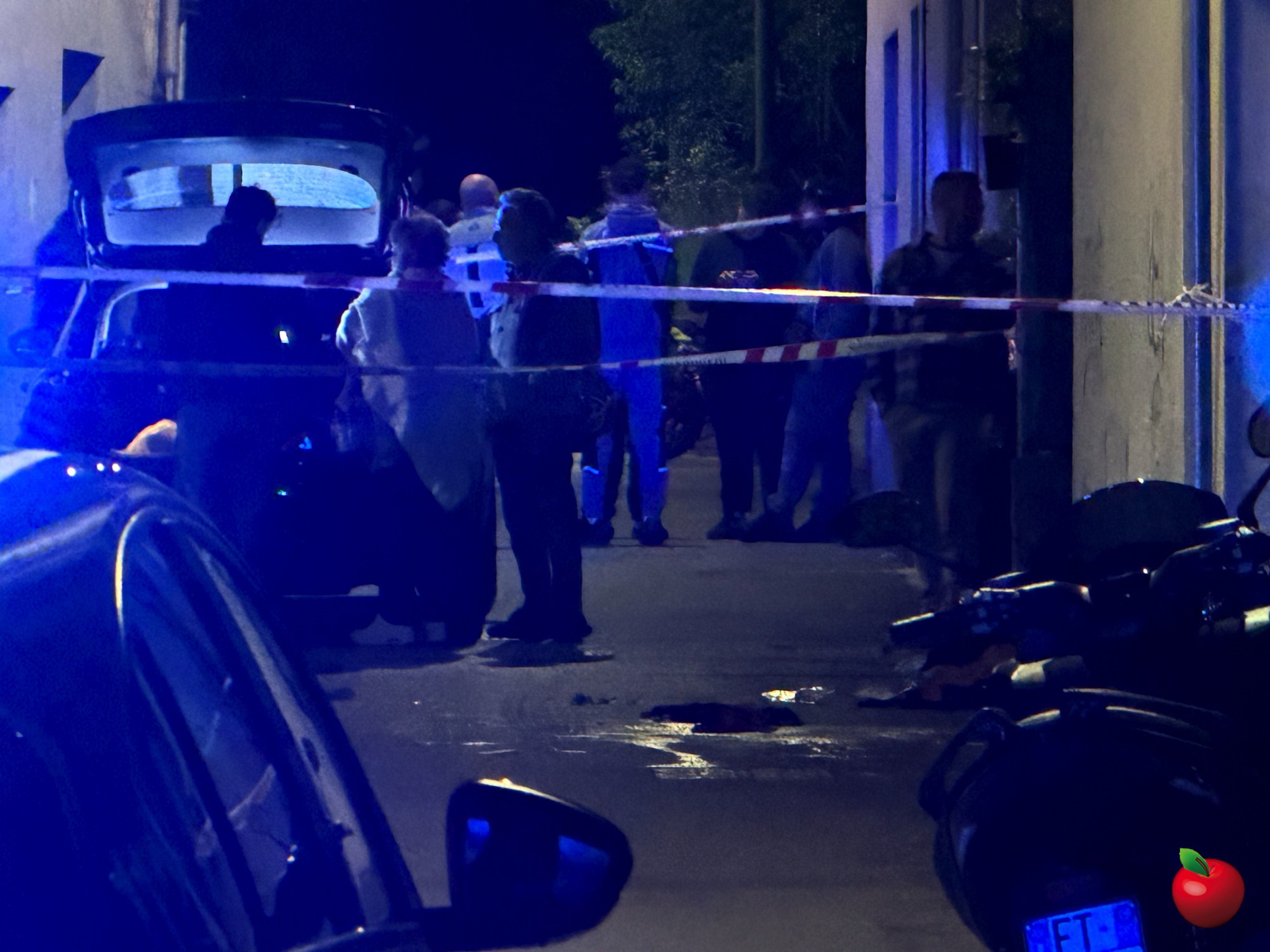 Calco_aggressione5.jpg (390 KB)