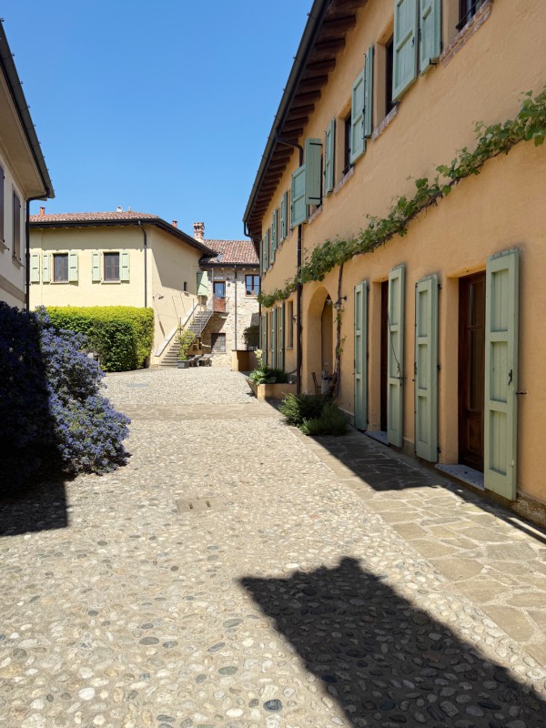 Galbusera_Bianca_2.jpg (134 KB)