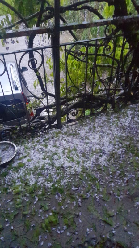 Grandine_maltempo5.jpeg (114 KB)