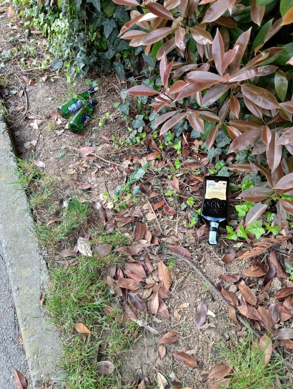 IMG-20260406-WA0001.jpg (245 KB)