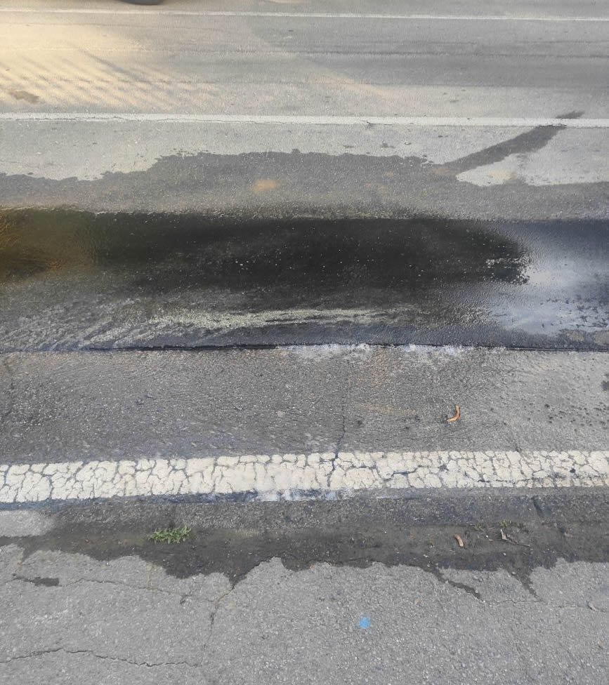 MerateAcquaViale.jpg (152 KB)