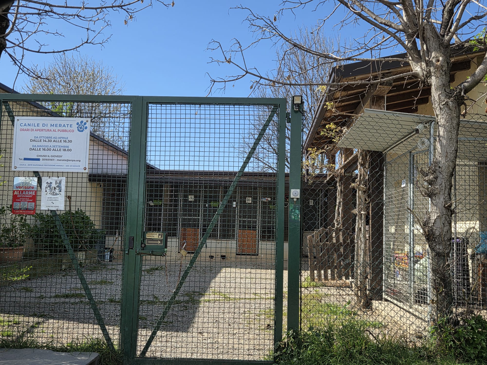 MerateCanileNumeriAnno.jpg (749 KB)