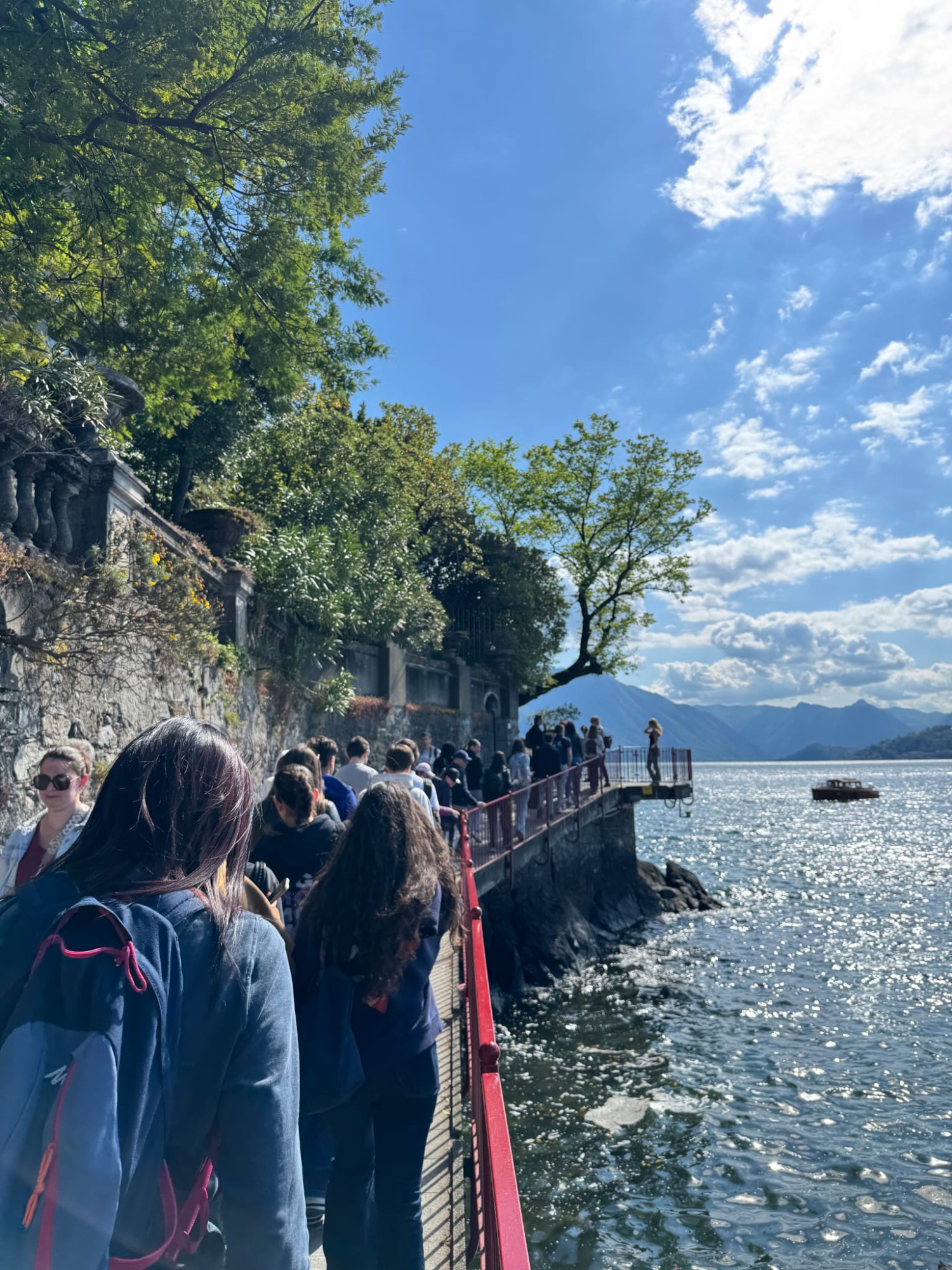 MerateErasmusProgetto1.jfif (673 KB)