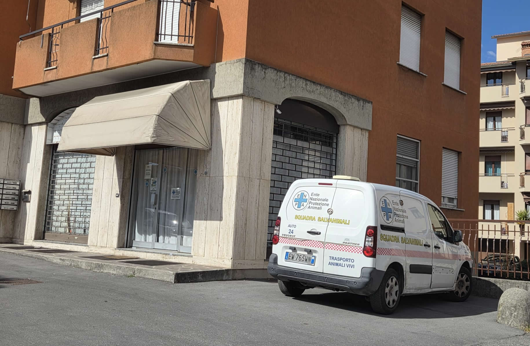 MerateGattileNumeriAnno.jpg (254 KB)