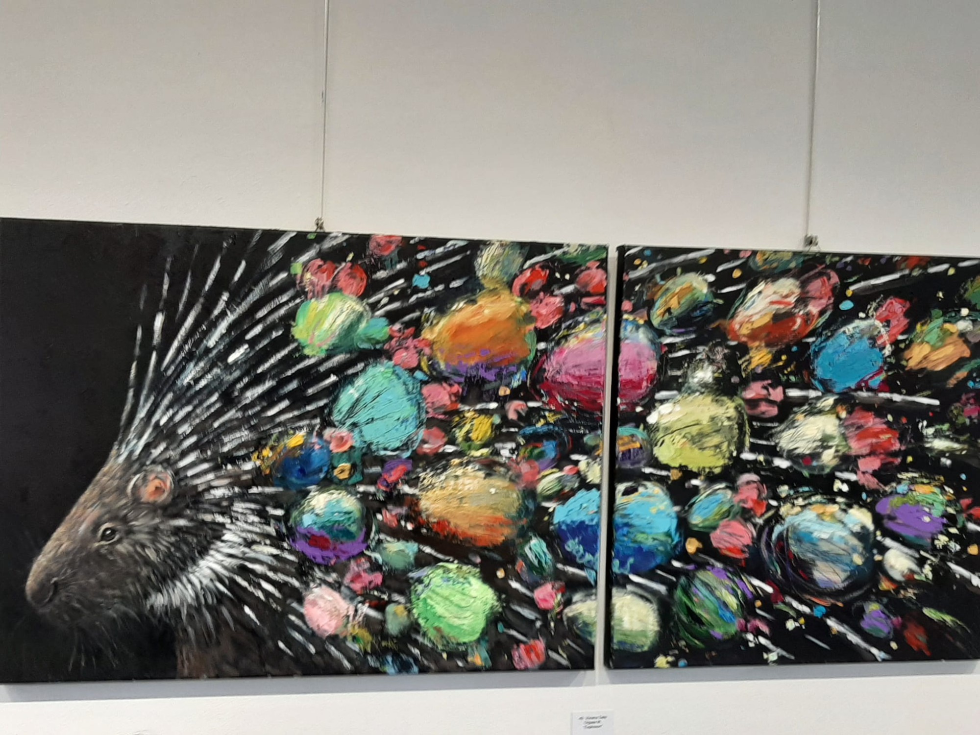 MerateMostraAnimals4.jpg (495 KB)