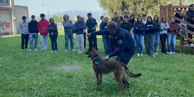 OggionoBacheletCinofiliPRIMA.jpg (186 KB)