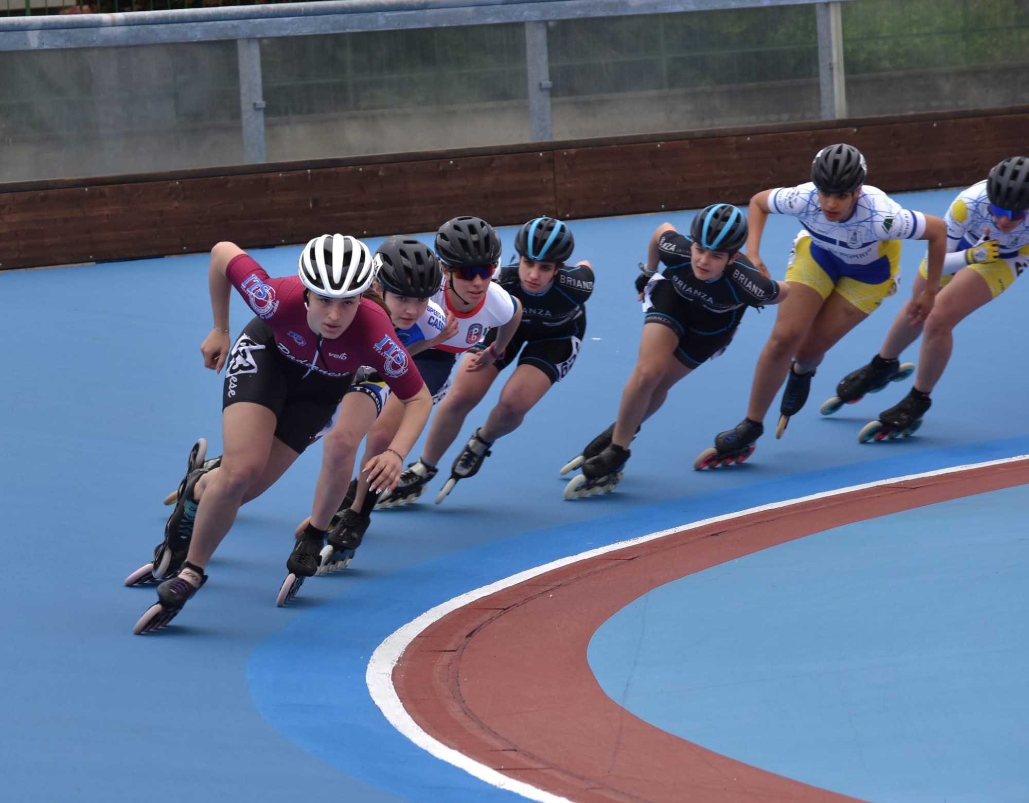 PadernesePattinaggioDomenica12__2_.jpg (349 KB)