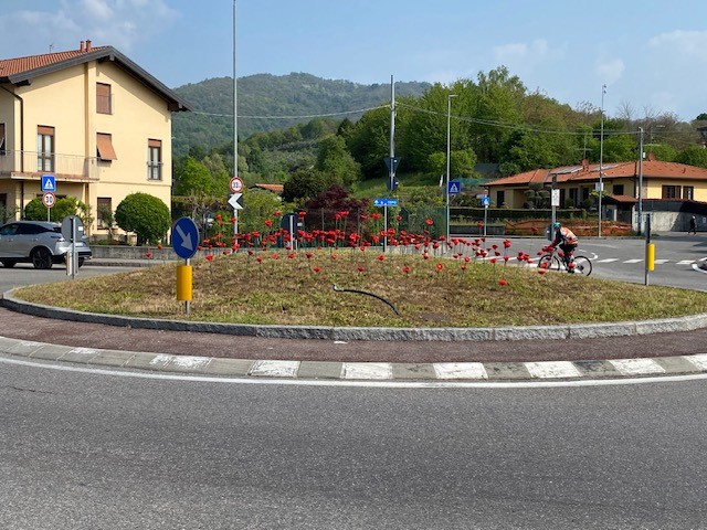 PapaveriArteLab5.jpg (122 KB)