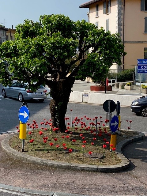 PapaveriArteLab__6_.jpg (136 KB)