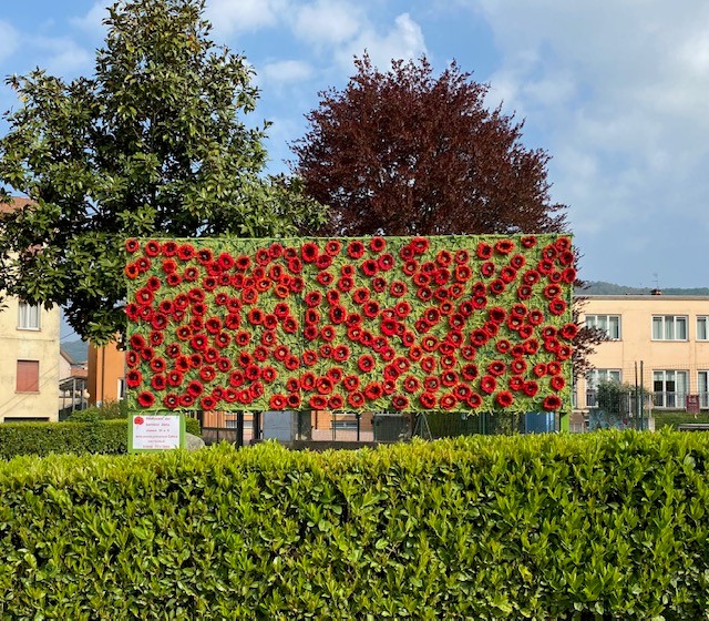 PapaveriArteLab__7_.jpg (197 KB)