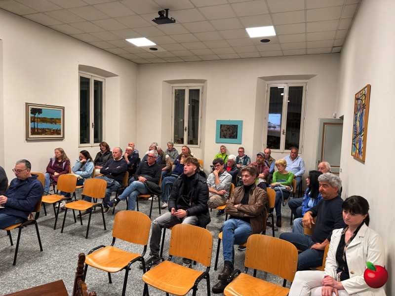 Ponte_brivio_assemblea3.jpg (132 KB)