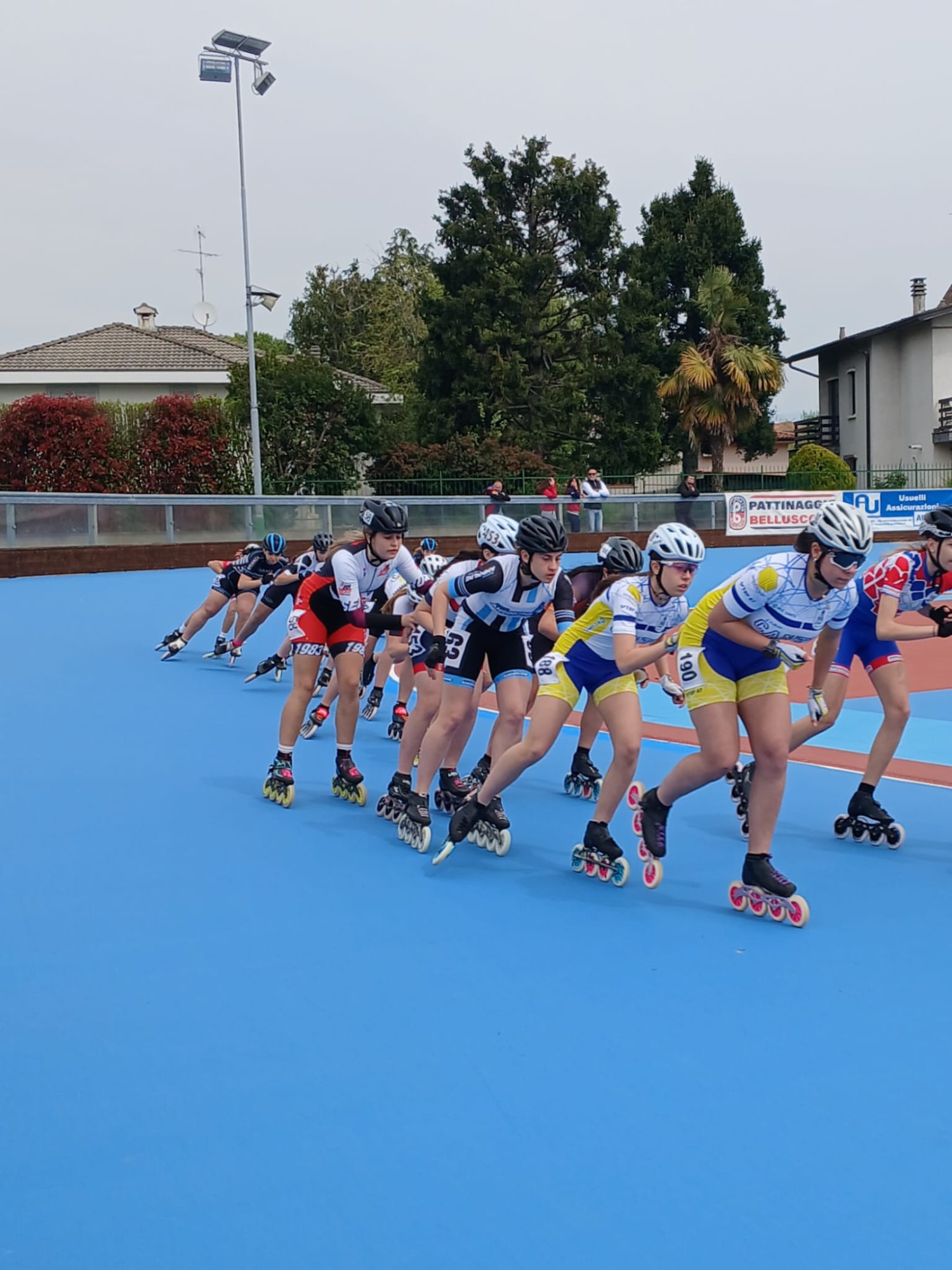 RotRoseAprile__2_.jpeg (376 KB)