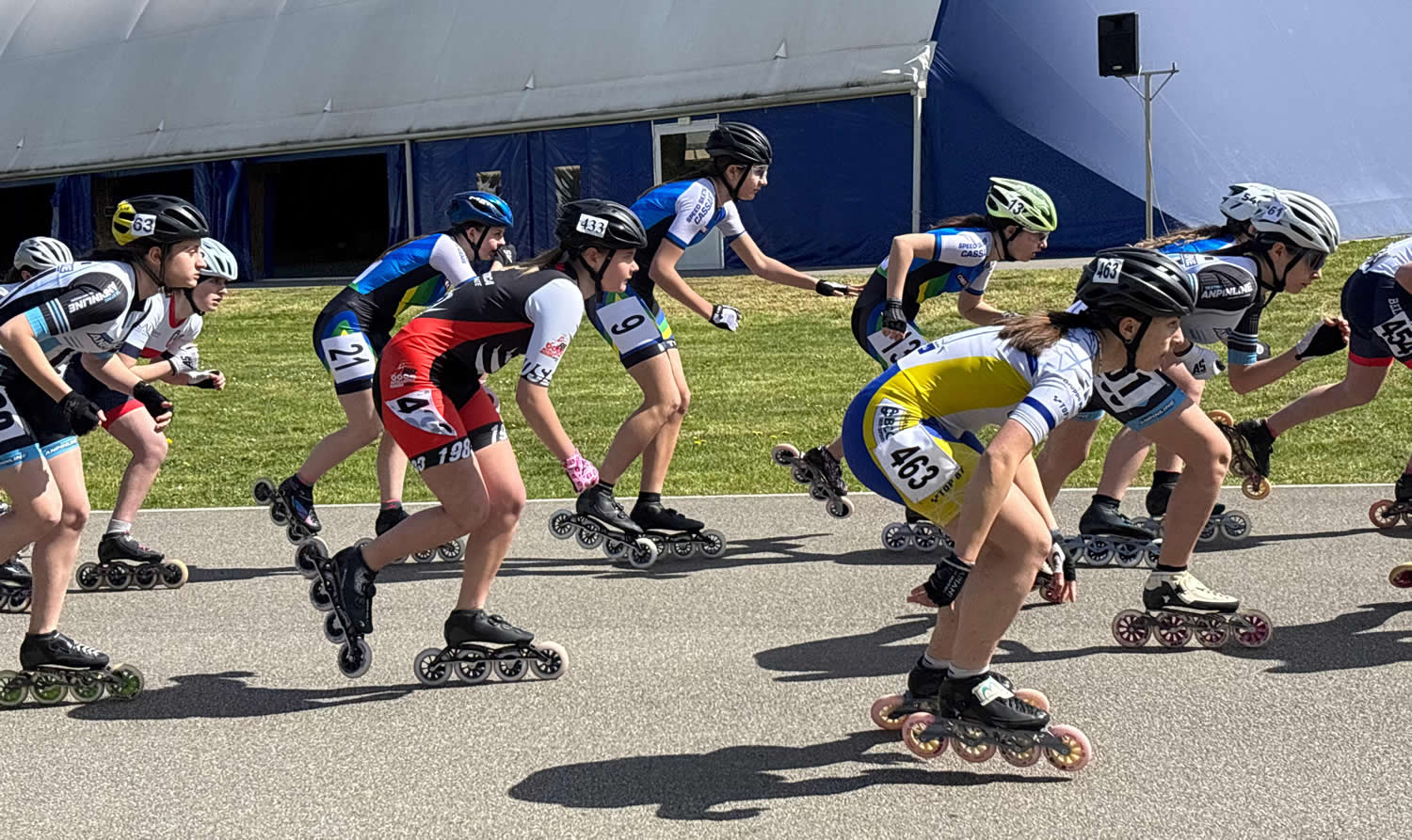 RotellisticaRosedaAprile3.jpg (250 KB)